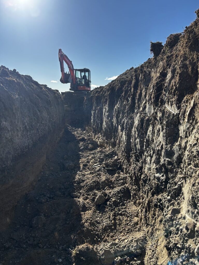 img 4407 scaled.jpeg