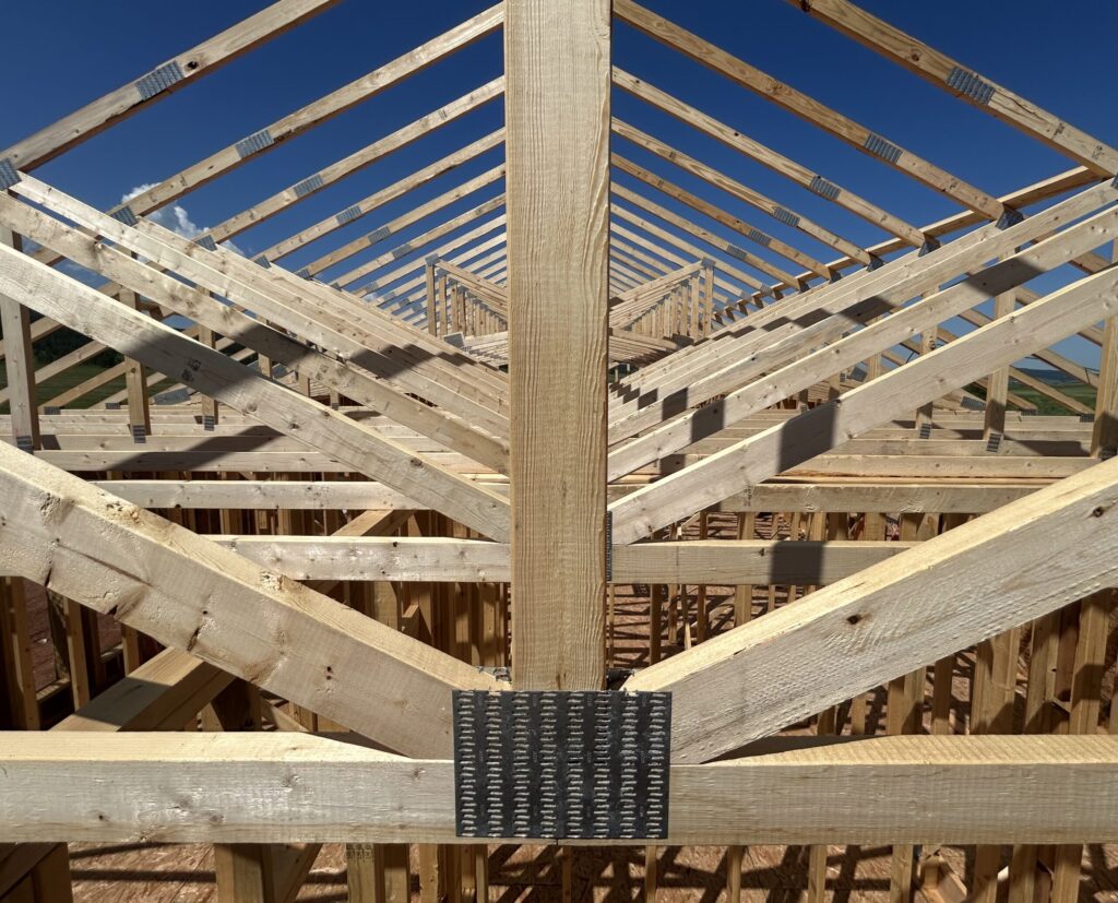 img 5244 scaled.jpeg